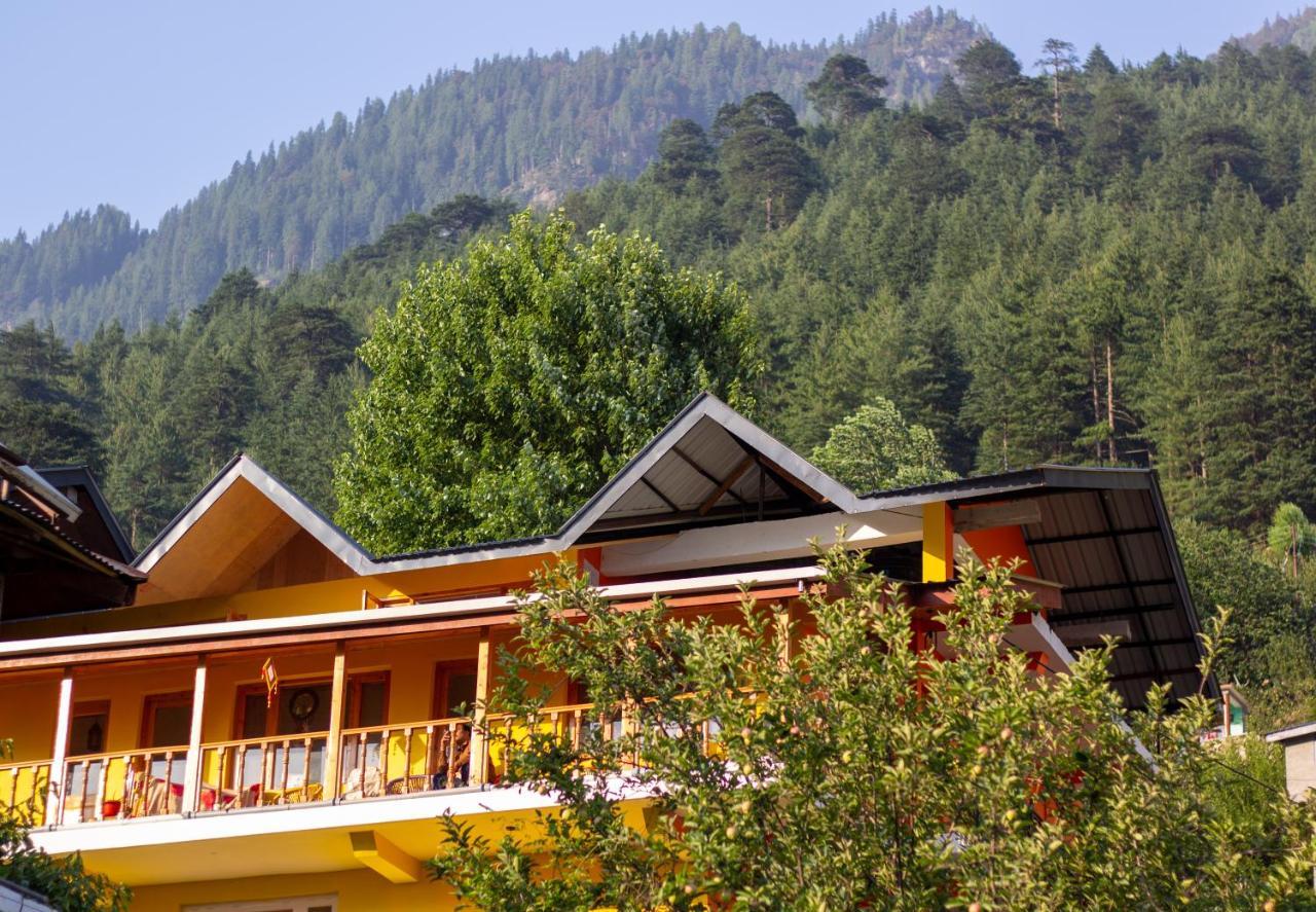 The Homstel Manali Vandrarhem Exteriör bild