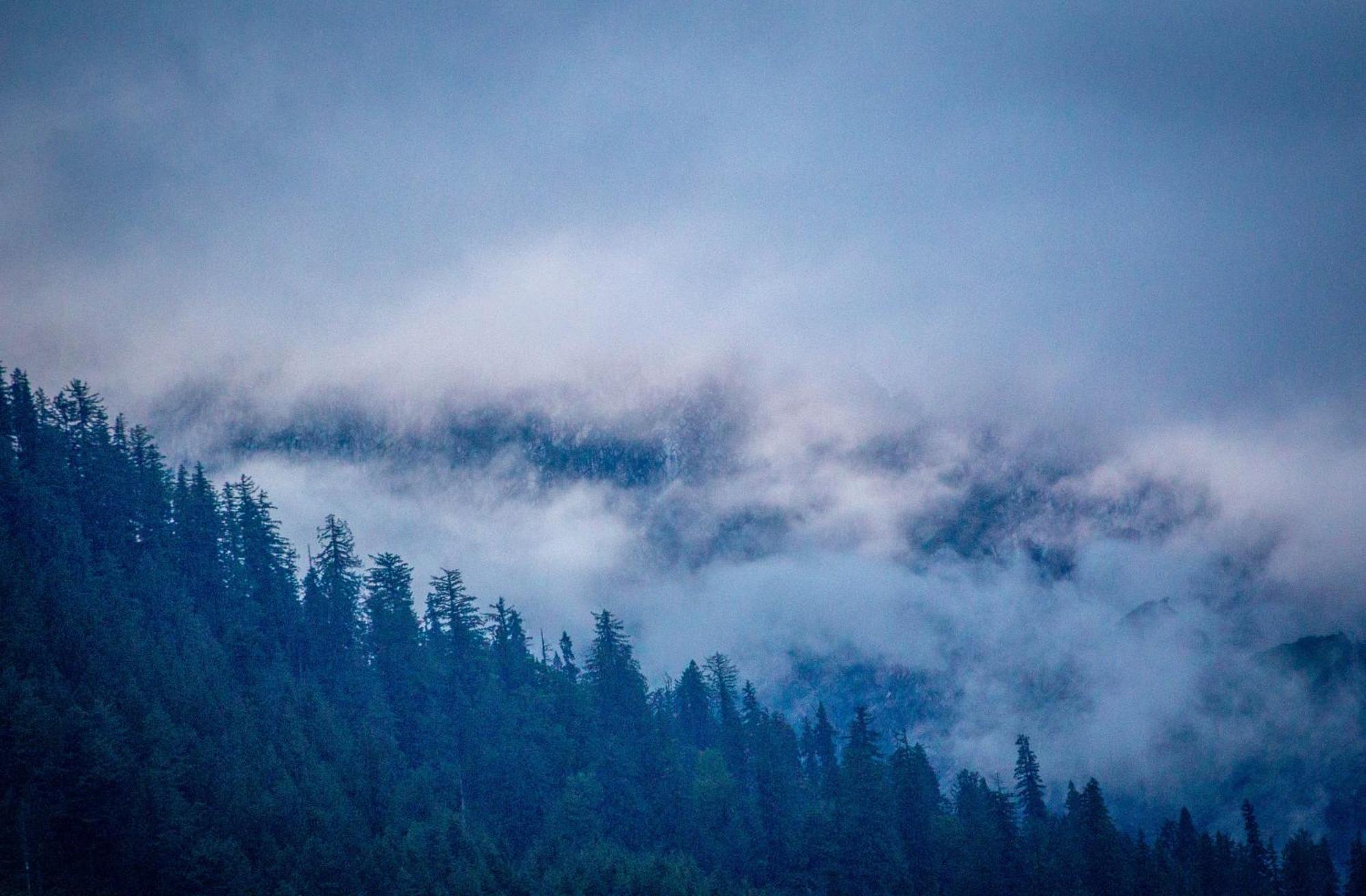 The Homstel Manali Vandrarhem Exteriör bild